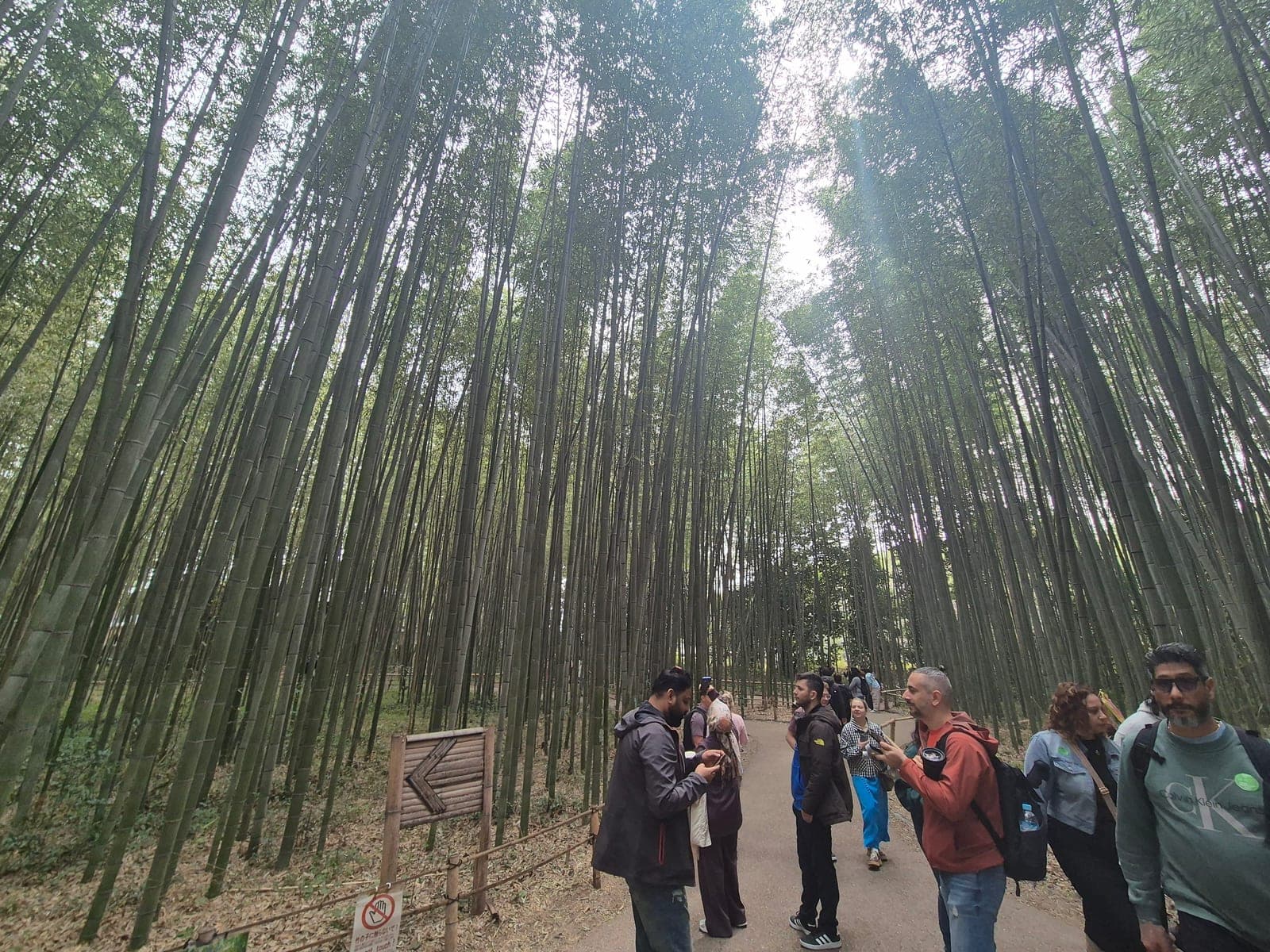 Visitantes caminando por el sendero del bosque de bambú de Arashiyama, con los altos tallos de bambú formando una bóveda verde sobre el camino