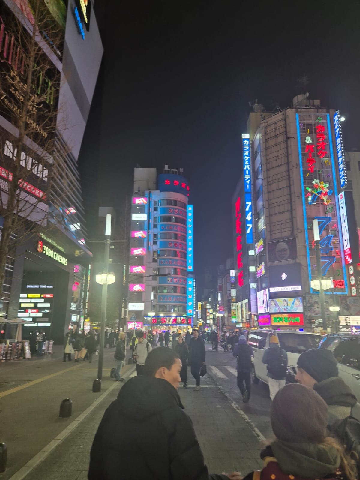 Calle de Kabukicho de noche, con letreros de neón de karaokes y bares iluminando la avenida
