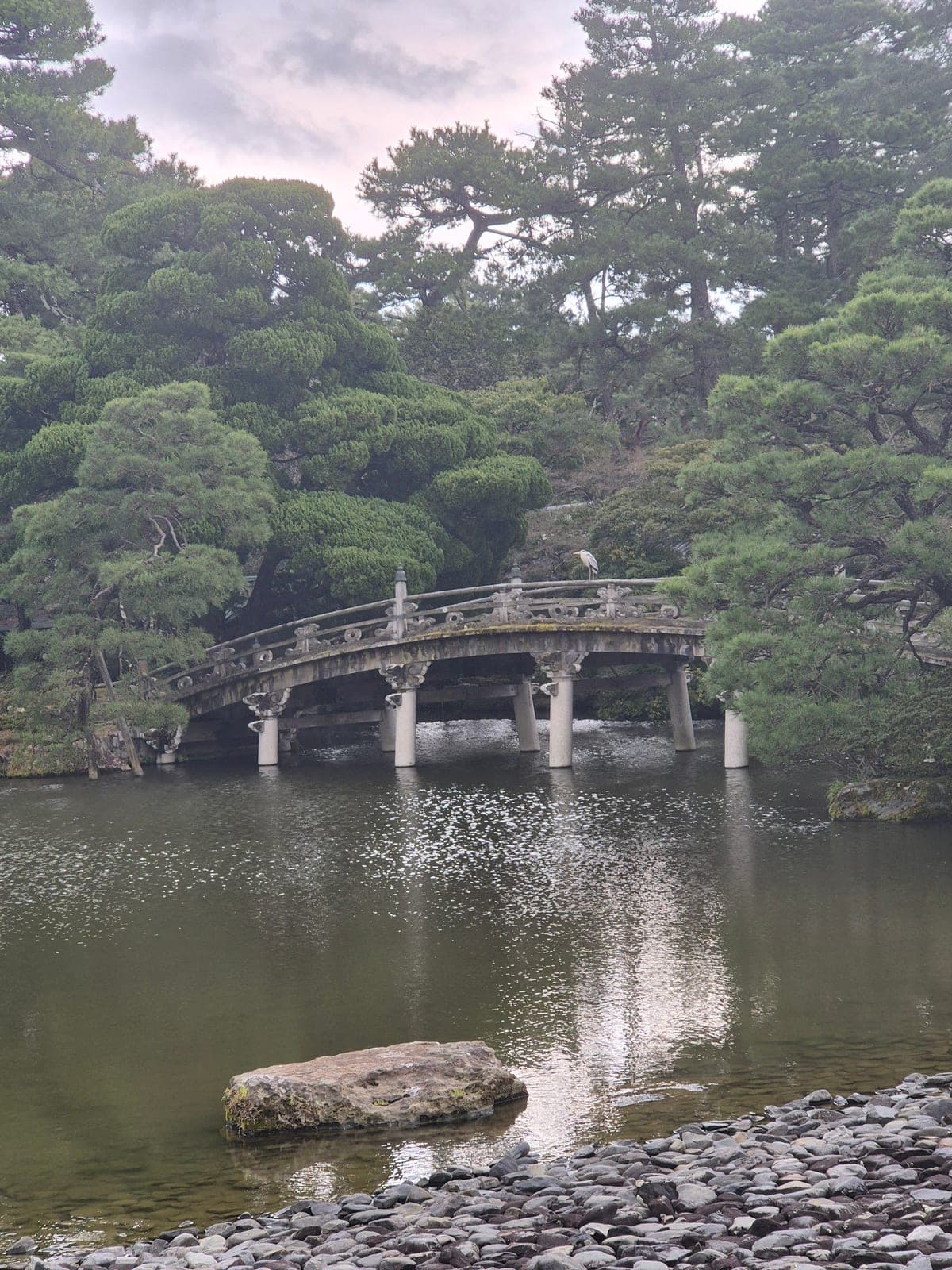El puente Keyakibashi de madera y piedra cruzando el estanque del jardín Oikeniwa en el Palacio Imperial de Kioto, rodeado de pinos