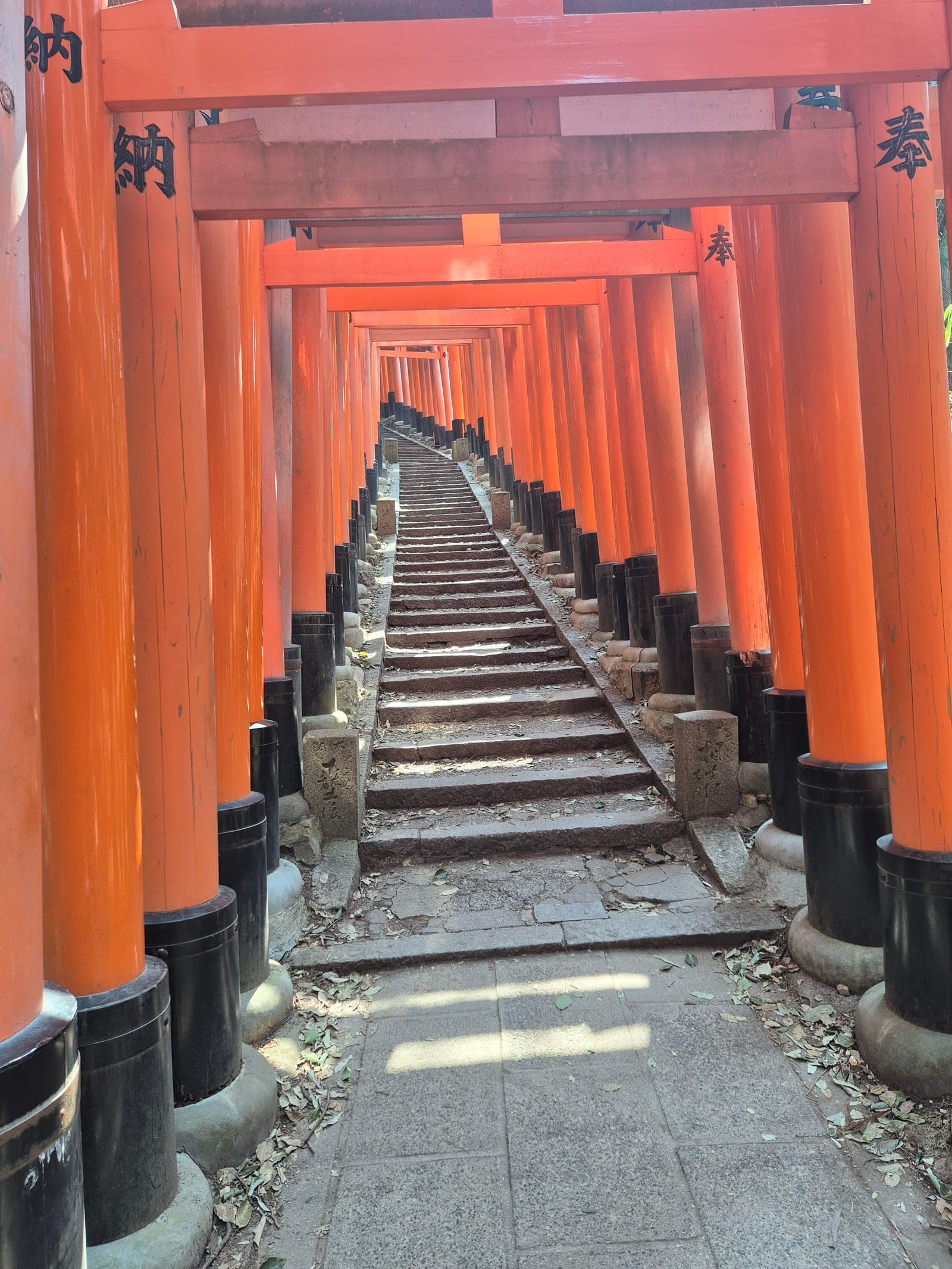 El túnel de puertas torii bermellón de Fushimi Inari subiendo por la montaña Inari, en Kioto