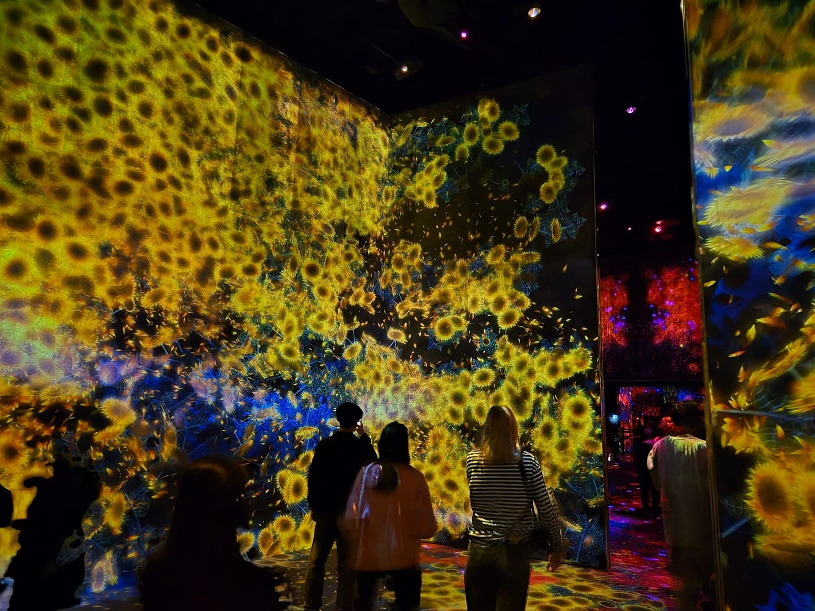 Sala de teamLab Borderless con las paredes y el techo cubiertos de girasoles proyectados a tamaño real, con visitantes de pie observando