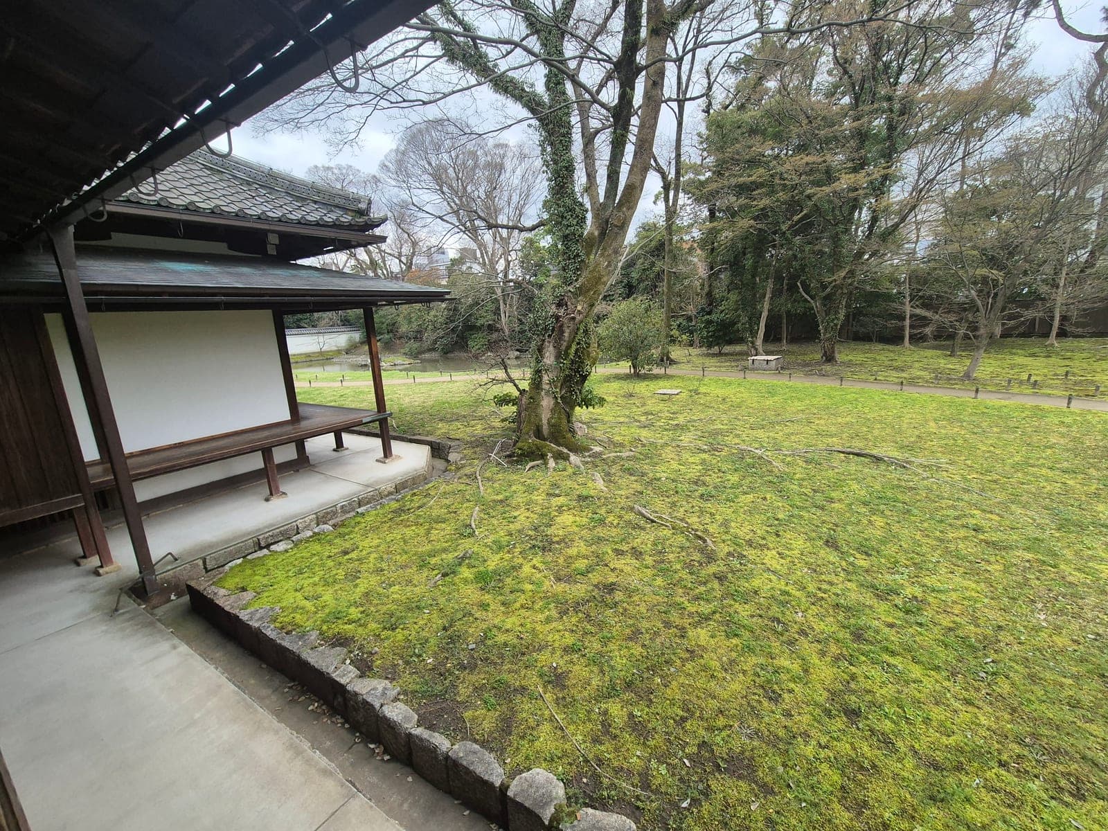 El jardín de musgo de la residencia Kan-in no Miya en el Kyoto Gyoen, con un árbol solitario y edificios tradicionales al fondo