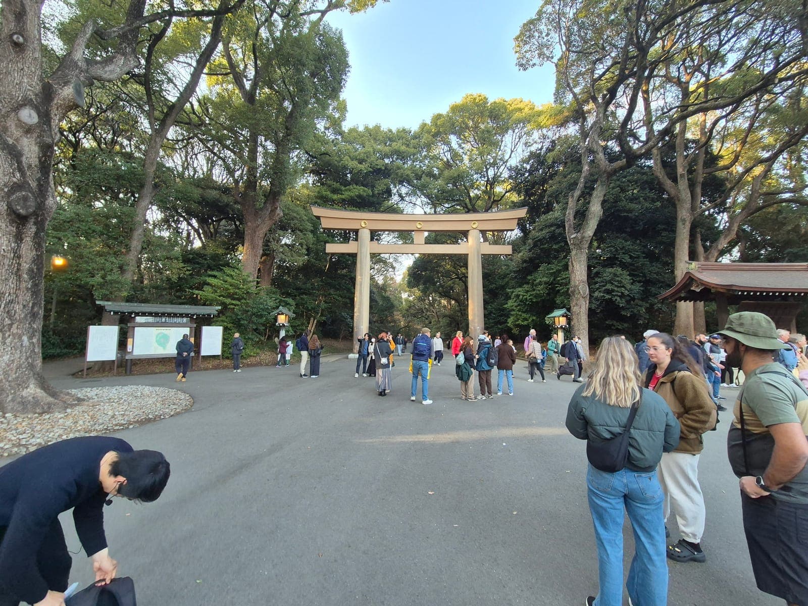 El gran torii de madera a la entrada del santuario Meiji Jingu en Tokio, rodeado de un denso bosque