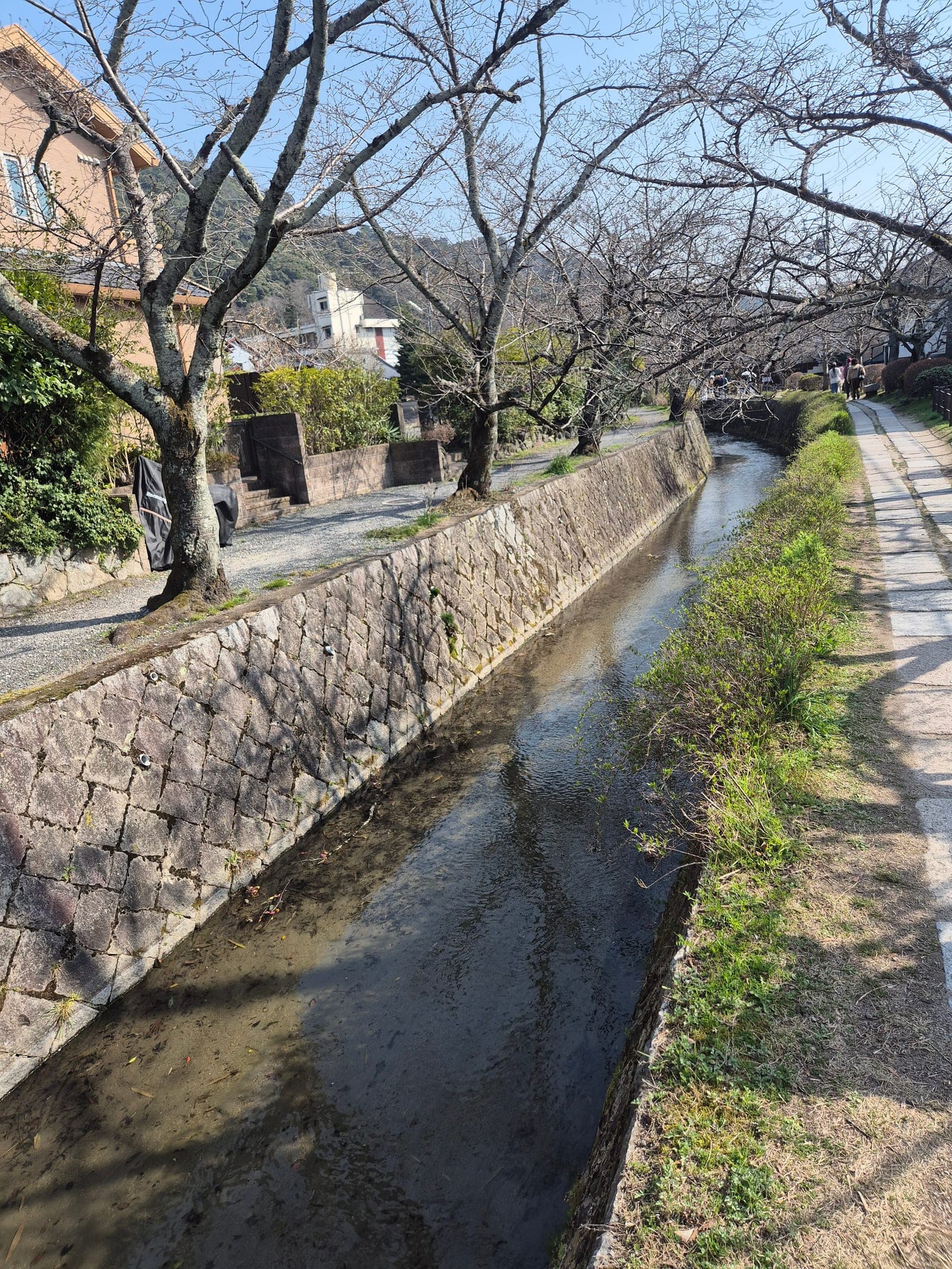 El canal de piedra del Paseo del Filósofo con un puente cruzando el agua y árboles a punto de florecer