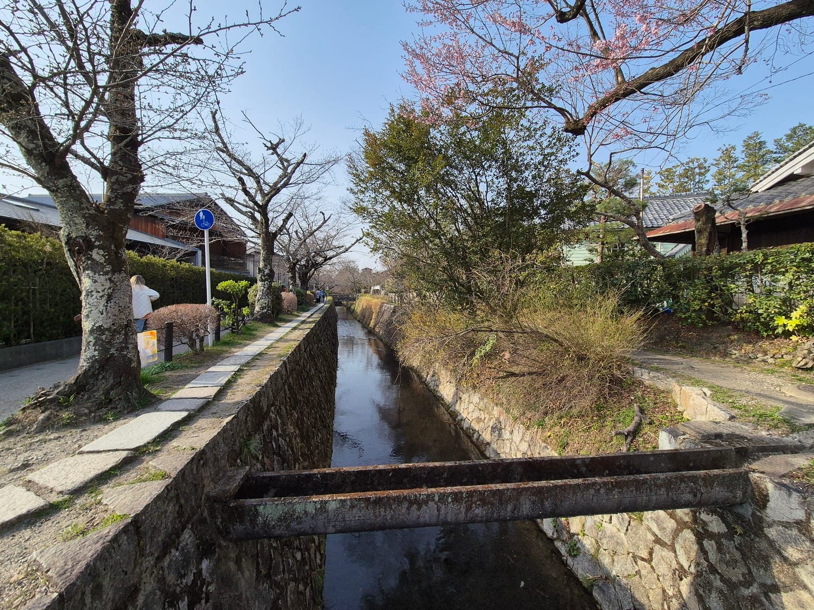 Ramas de cerezo con flores rosas abriendo sobre el canal del Paseo del Filósofo en Kioto, con una persona caminando por el sendero de piedra