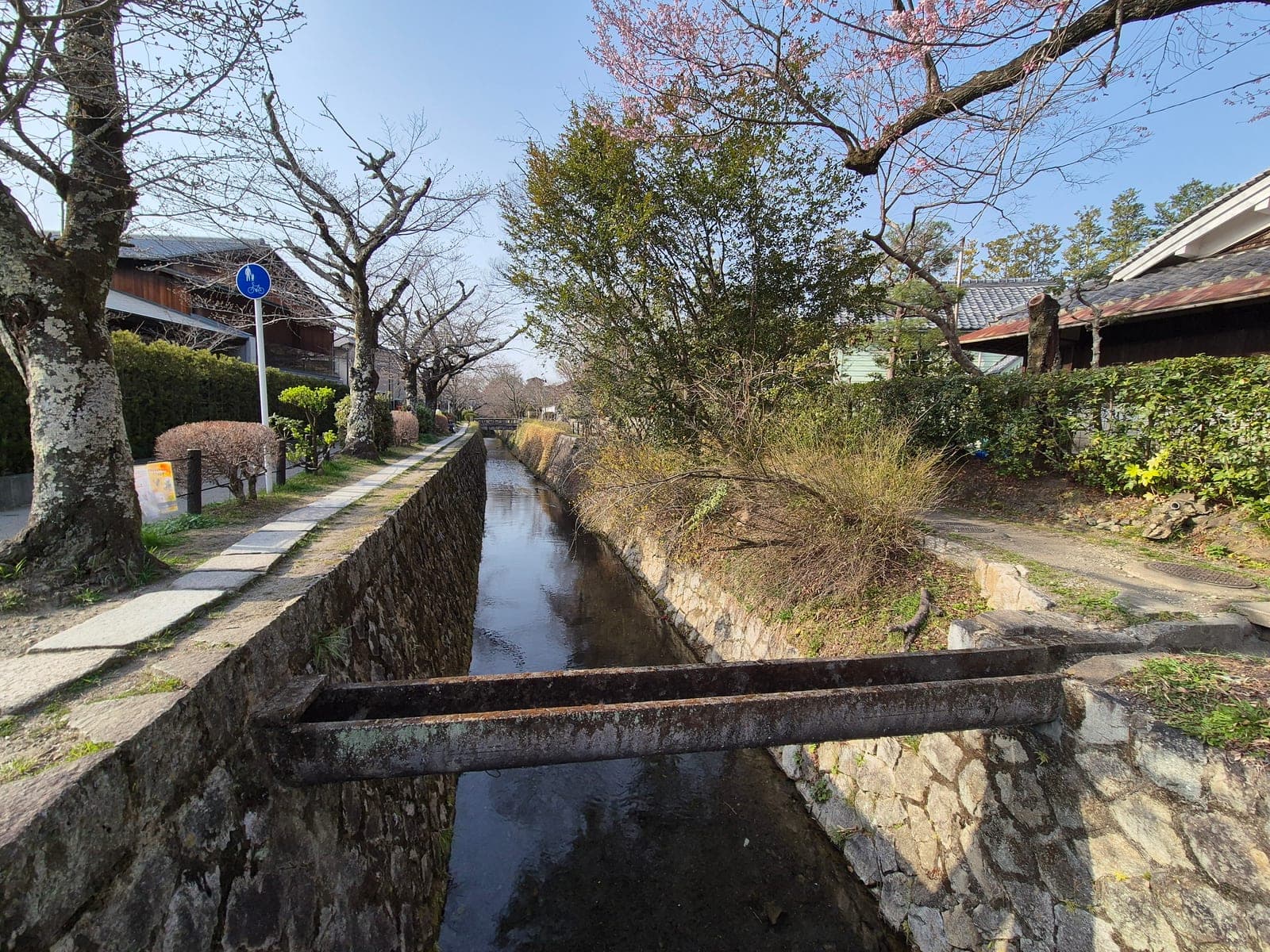 El canal del Paseo del Filósofo en Kioto bordeado de cerezos empezando a florecer, con un camino de piedra y casas tradicionales a los lados
