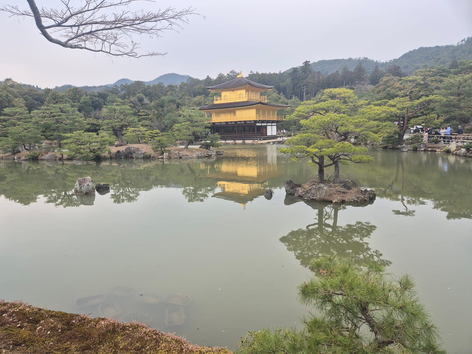 El Pabellón Dorado de Kinkaku-ji visto de frente, con un islote de pinos en primer plano sobre el estanque y visitantes en la orilla derecha