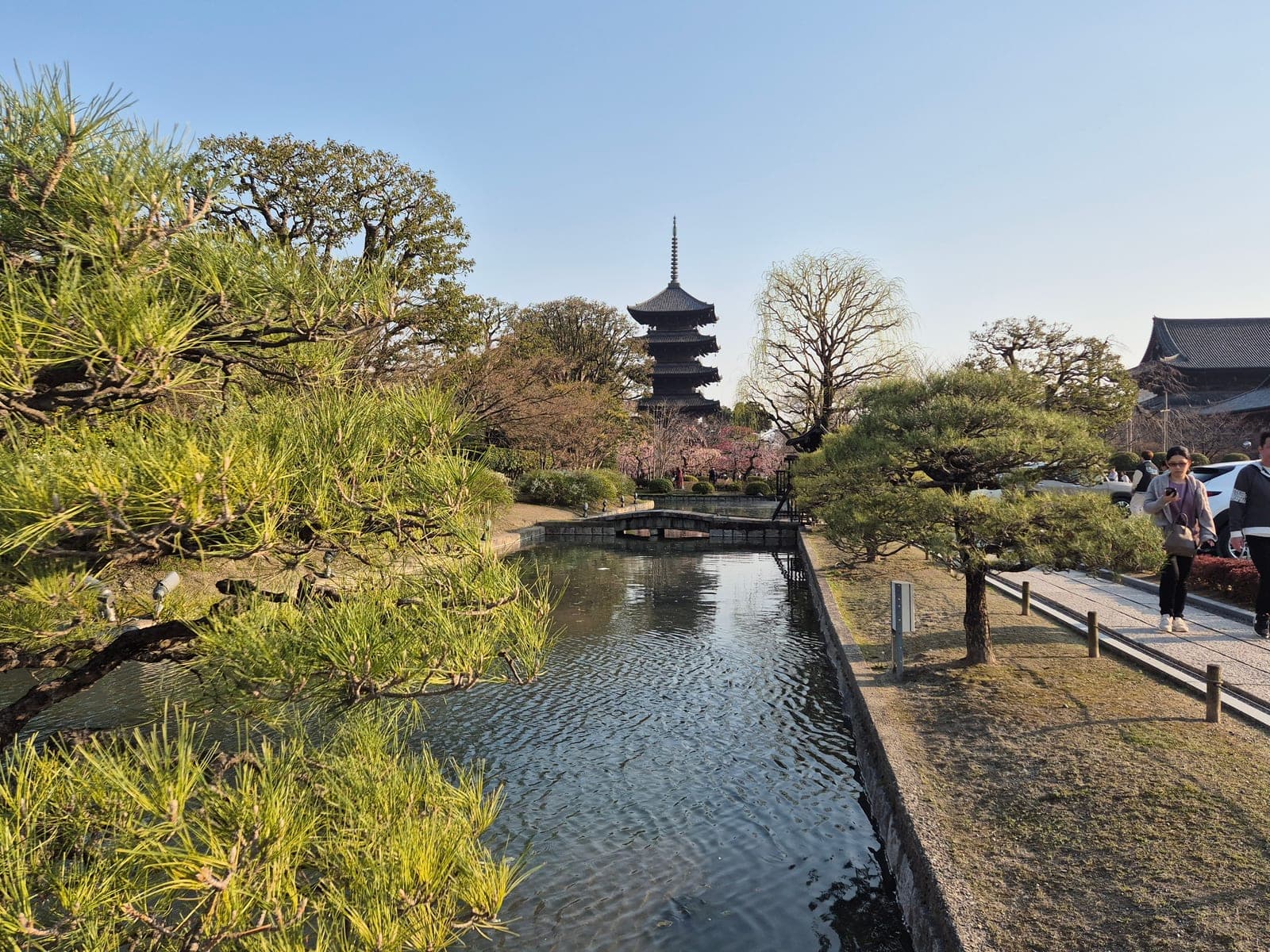 La pagoda de cinco pisos del templo Tō-ji reflejada al fondo de un estanque, con un pino en primer plano