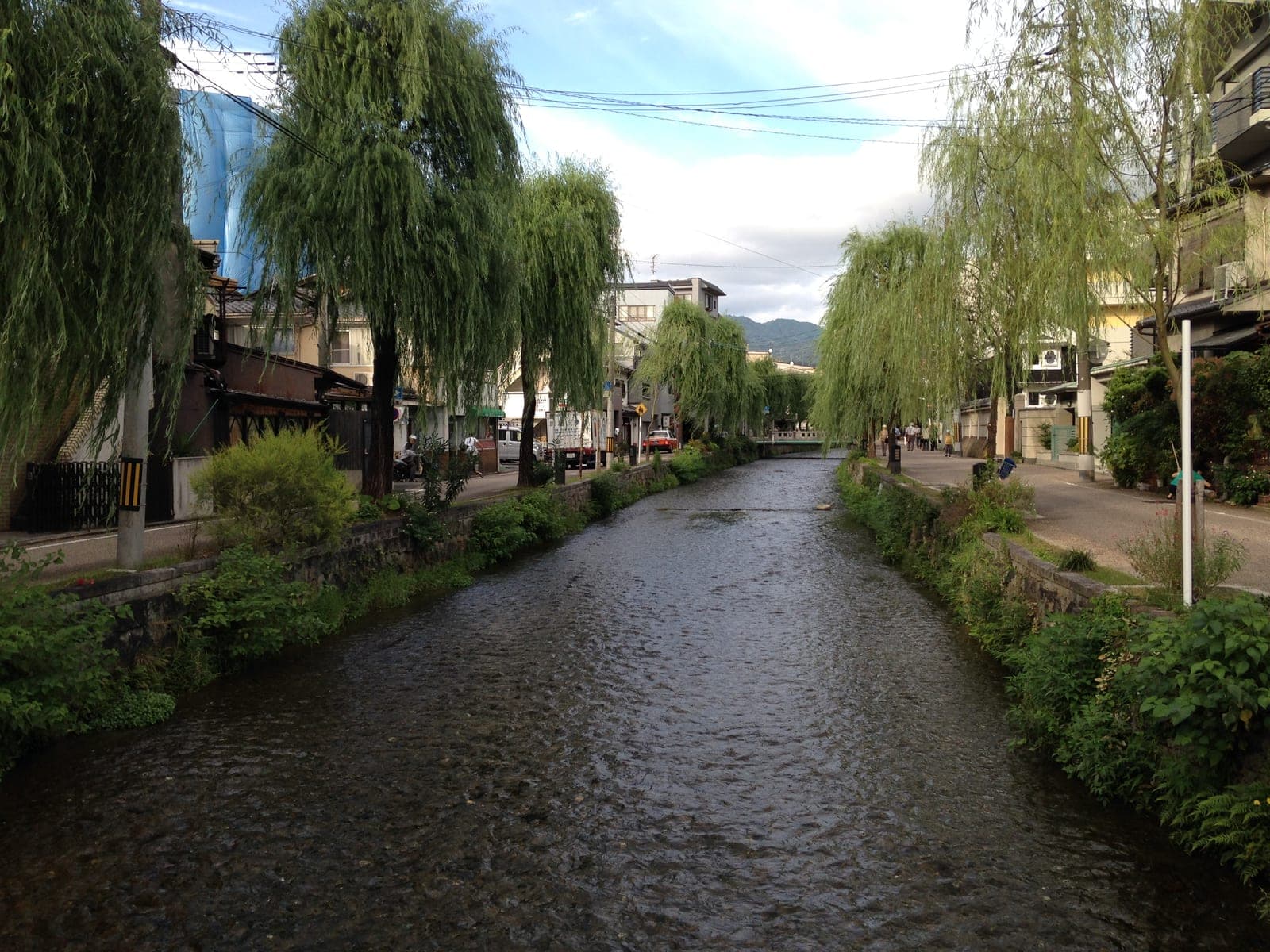 El canal de Shirakawa con sauces inclinados sobre el agua y casas a ambos lados, en un día despejado