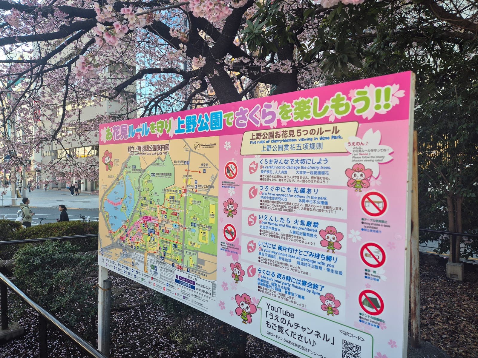 Cartel con las reglas del hanami y un mapa del parque Ueno, rodeado de flores de cerezo