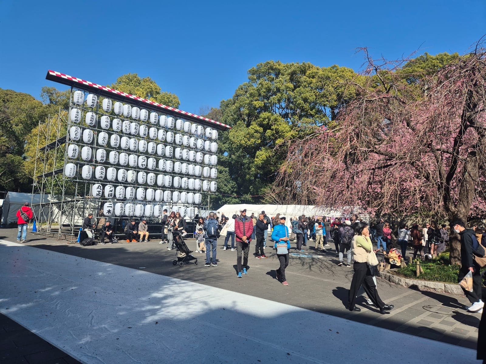 Estructura con decenas de faroles de papel donados por negocios locales, junto a flores de cerezo en el parque Ueno