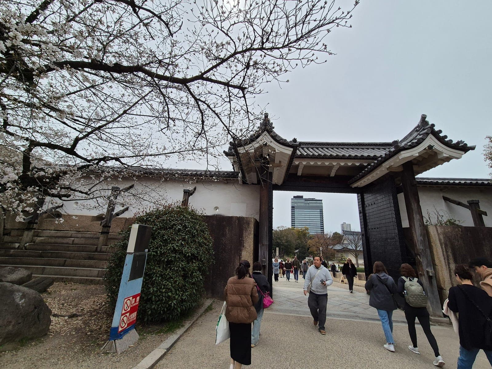 La puerta Sakuramon del Castillo de Osaka bajo una rama de flores de cerezo, con visitantes caminando hacia el recinto interior