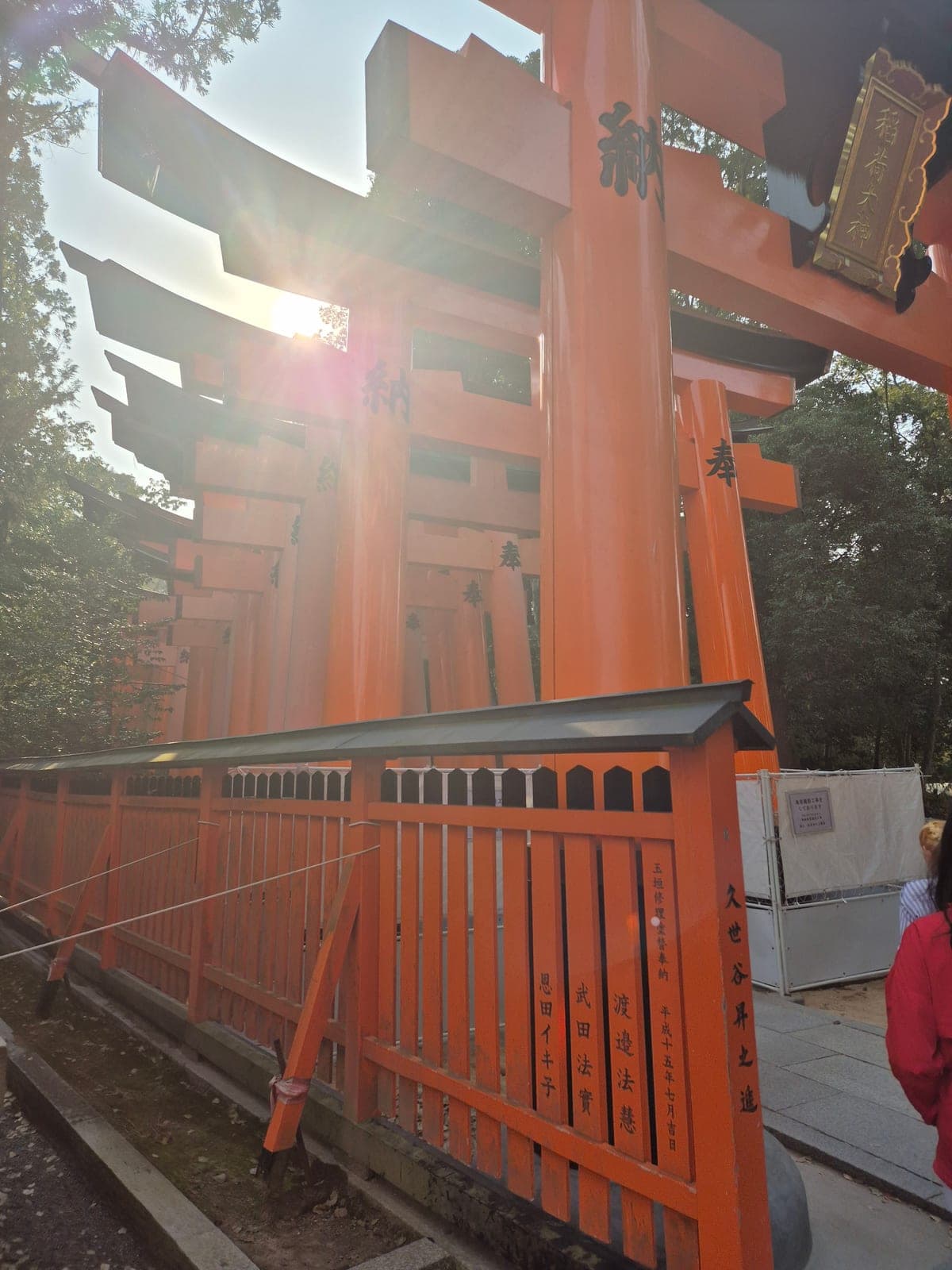 Los dos túneles paralelos de torii de las Senbon Torii, con el sol de la mañana entrando entre los postes bermellón