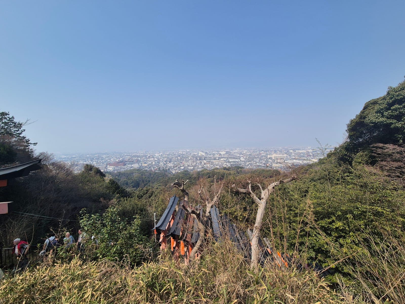 Vista panorámica de Kioto desde la ladera de la montaña Inari, con el tejado de un pequeño altar torii asomando entre los árboles
