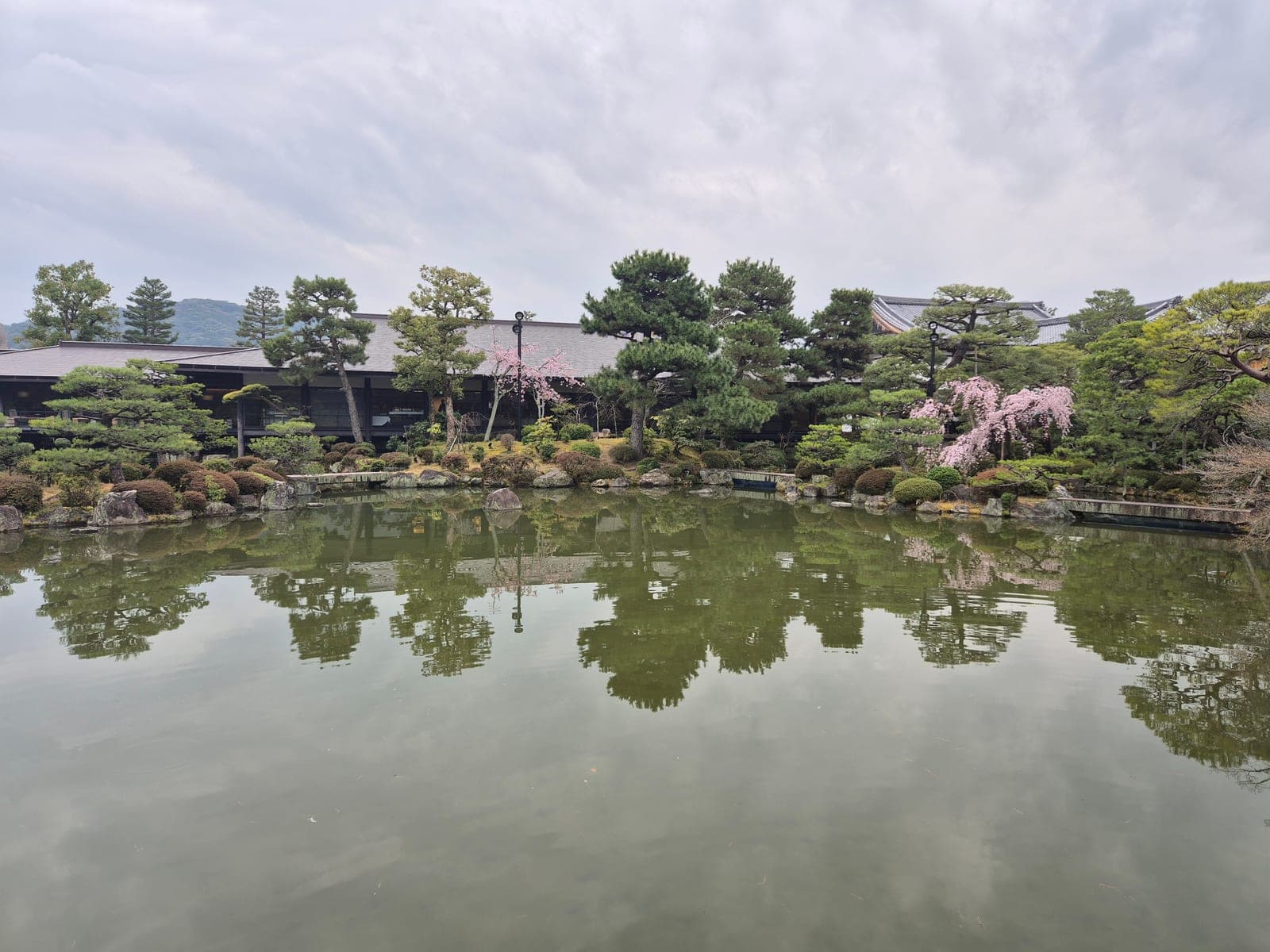 Los jardines Shin'en del santuario Heian reflejados en el estanque, con un cerezo llorón floreado junto a los pabellones de madera