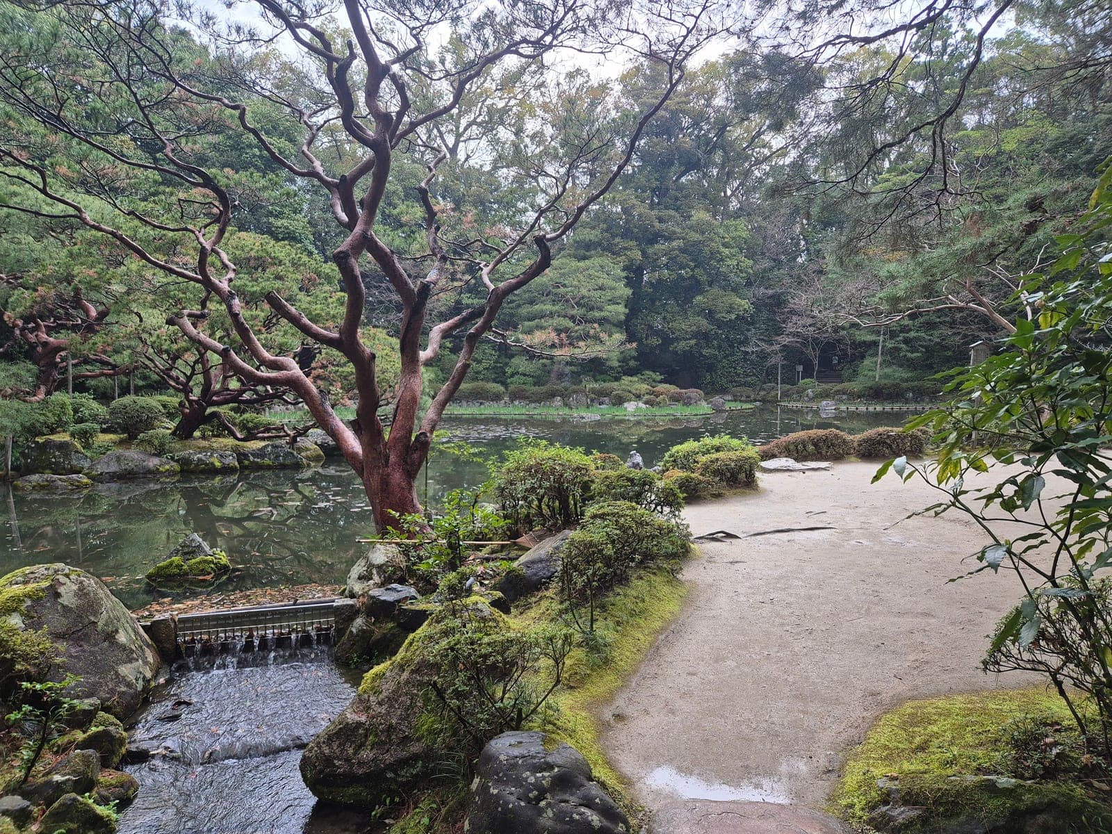 Un estanque de los jardines Shin'en del santuario Heian con una pequeña cascada, rocas cubiertas de musgo y un sendero de grava