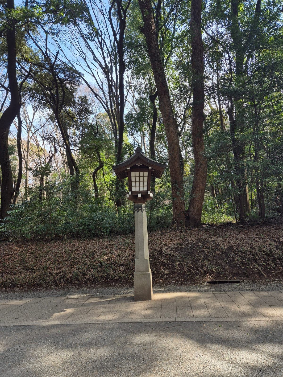 Farol tradicional de madera con panel de papel blanco, sobre un pedestal de piedra, junto al camino boscoso del santuario Meiji Jingū