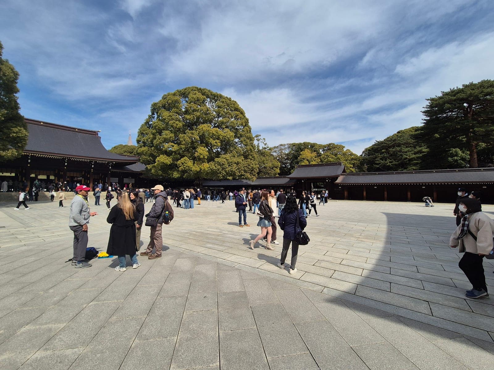 Patio principal de piedra del santuario Meiji Jingū con un gran árbol centenario, el techo del salón principal y visitantes paseando