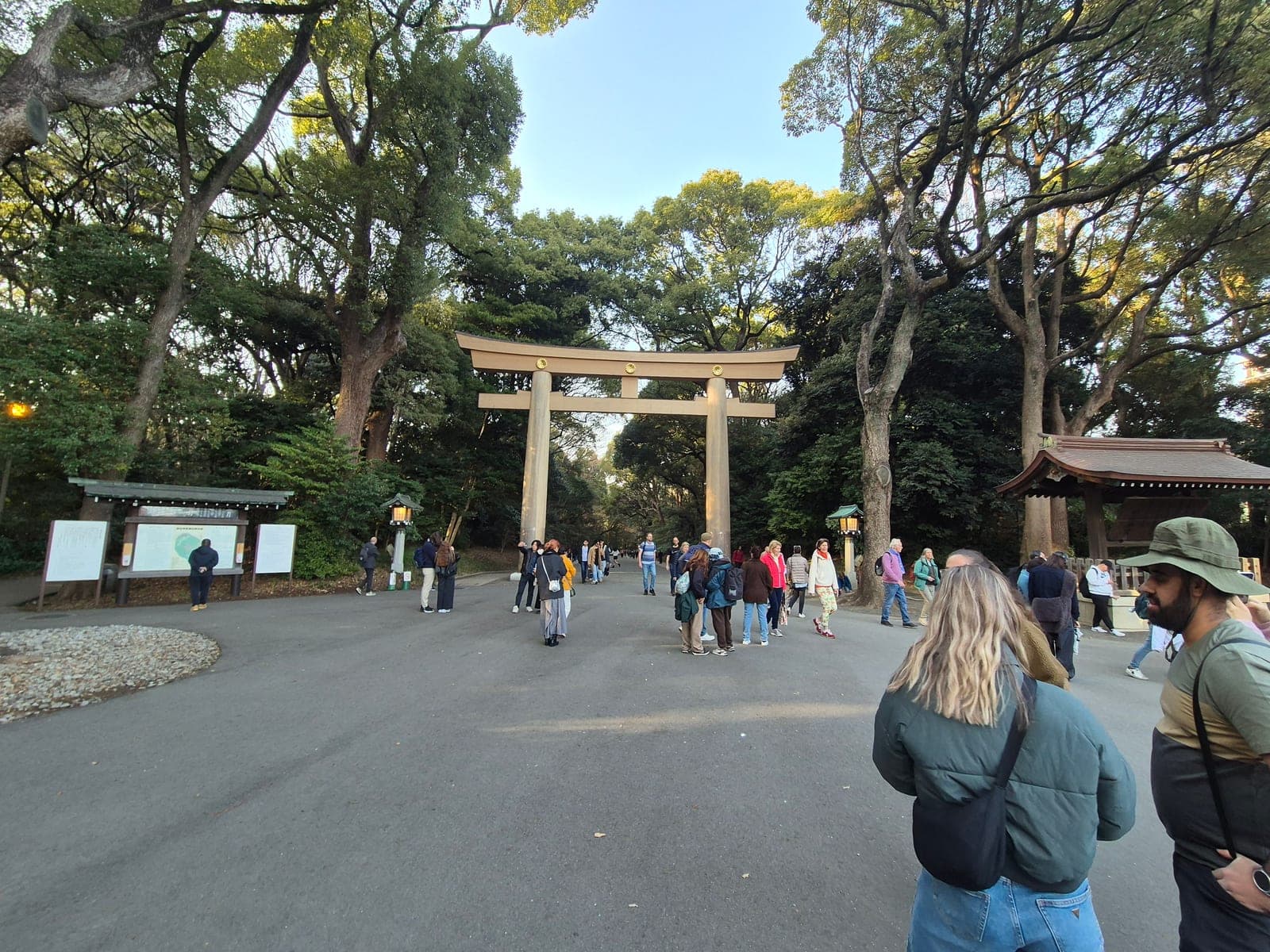 El gran torii de madera del santuario Meiji Jingū al final del camino de grava, rodeado de bosque