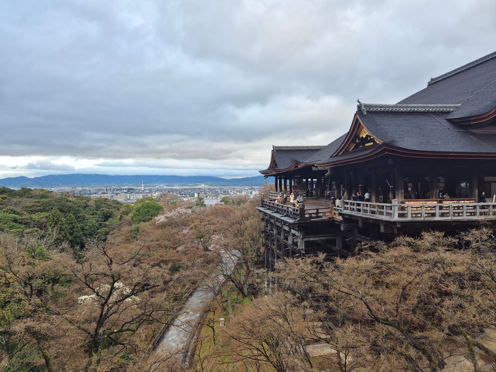 La terraza de madera del Kiyomizu-dera asomada sobre la ladera boscosa, con flores de cerezo y la ciudad de Kioto al fondo