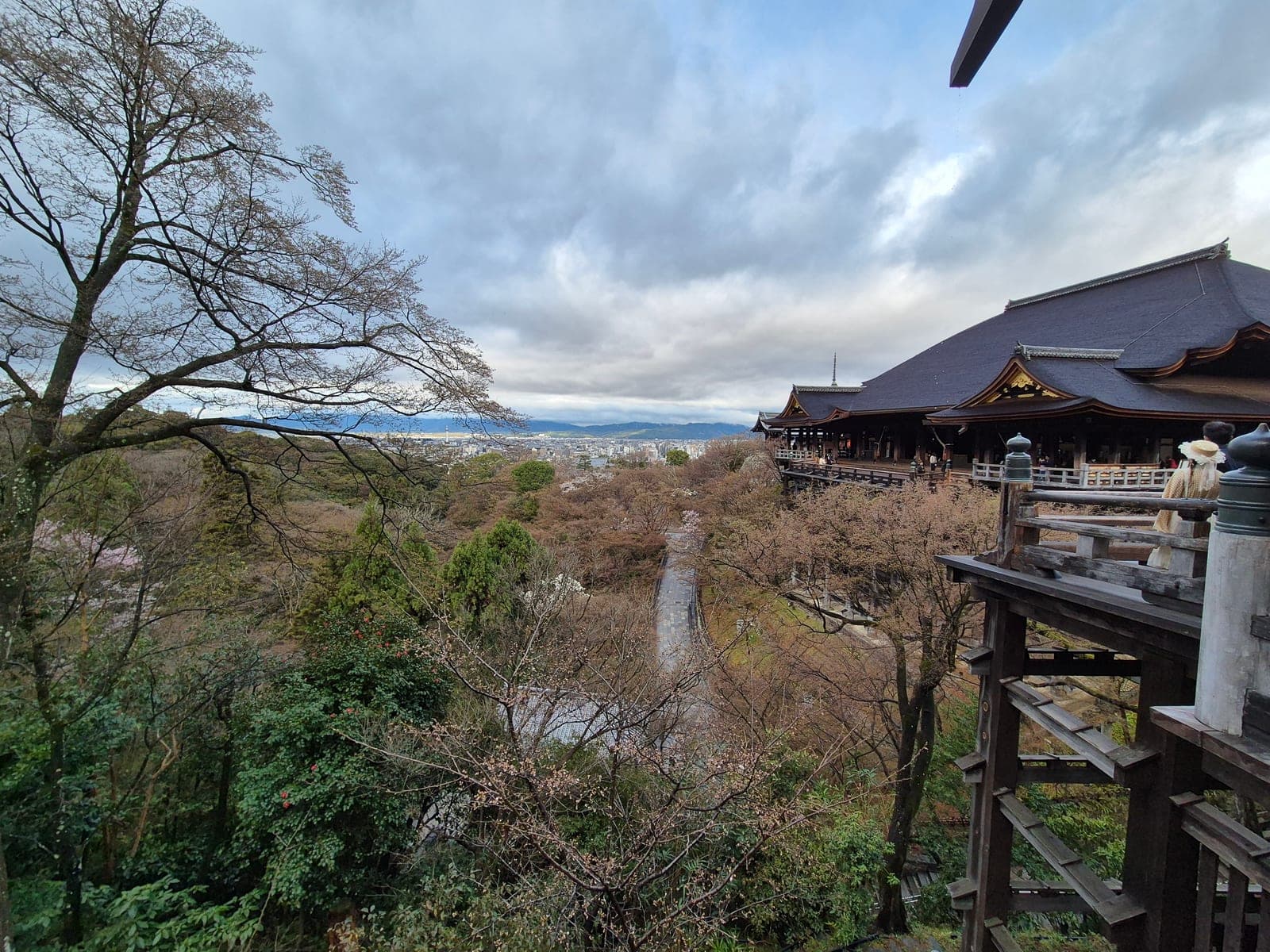 La terraza de Kiyomizu-dera entre flores de cerezo, con visitantes junto a la baranda y la ciudad de Kioto al fondo
