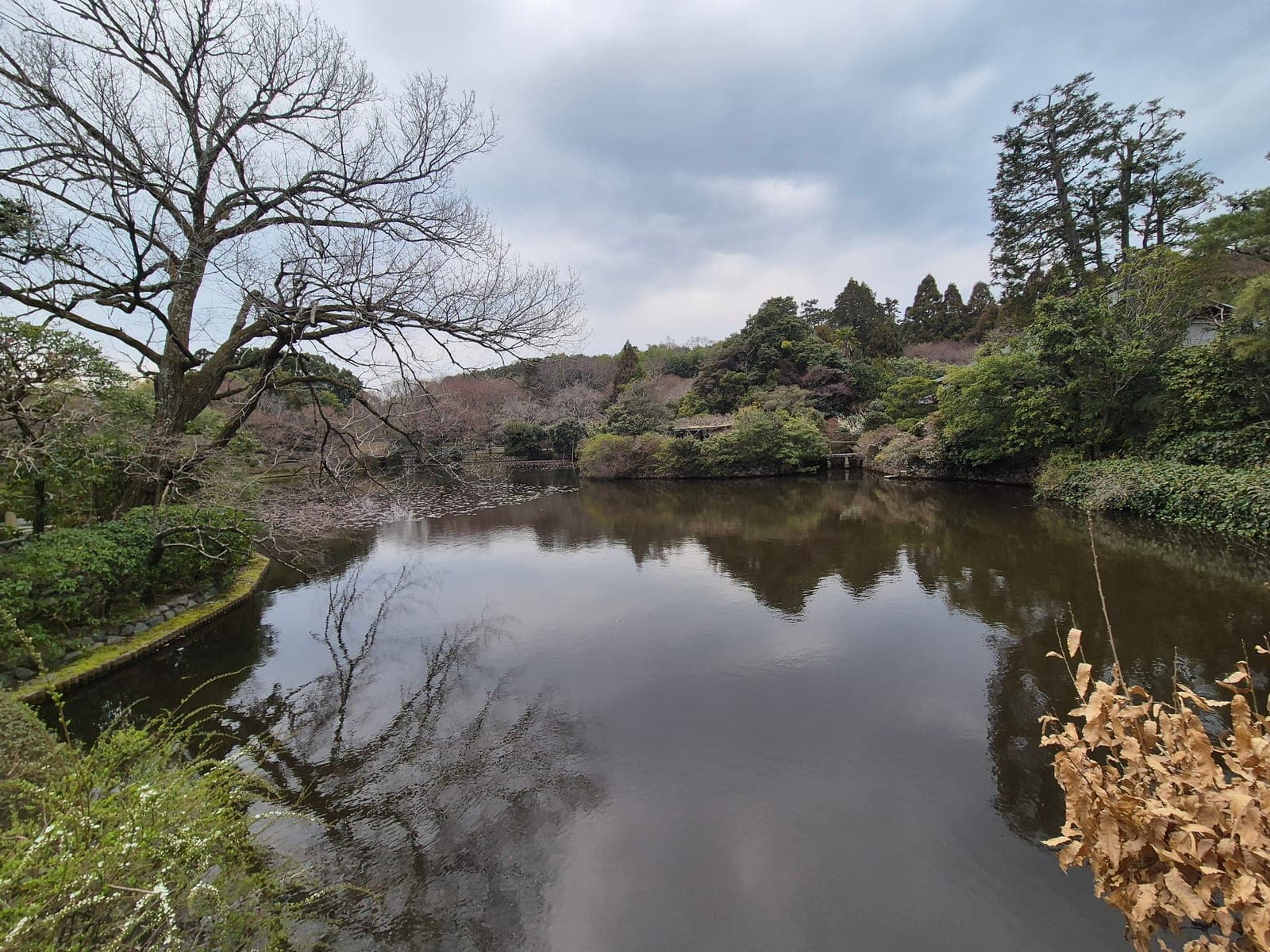 El estanque Kyōyōchi del Ryōan-ji con reflejos de los árboles del bosque en su superficie, en un día nublado