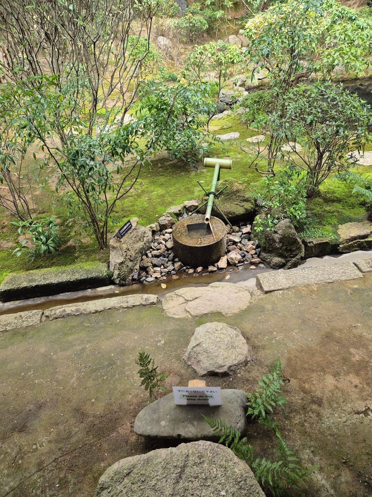 El tsukubai de piedra del Ryōan-ji con forma de moneda antigua y cuatro caracteres grabados alrededor de un cuenco central, alimentado por un caño de bambú