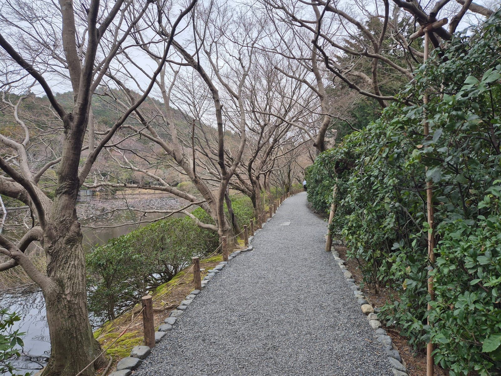 Un sendero de grava bordeado de árboles junto al estanque Kyōyōchi en el recinto del templo Ryōan-ji